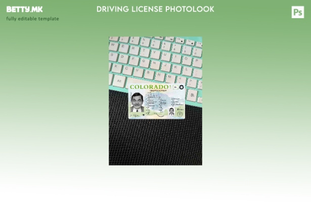 модерен стил USA Colorado DL photolook FRONT шаблон